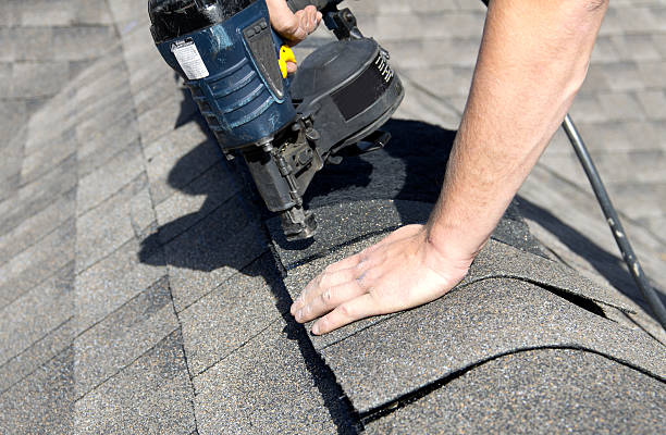 Best Roof Moss and Algae Removal  in Lakeside, MT